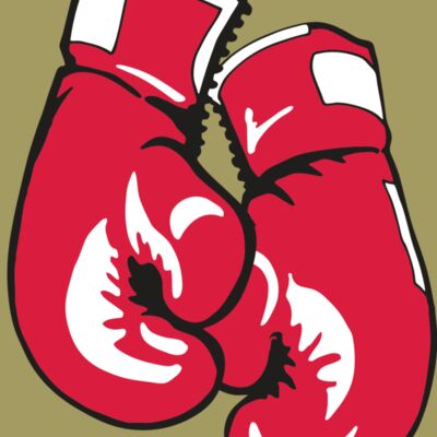 AR BOXING 17 RC Thumbnail