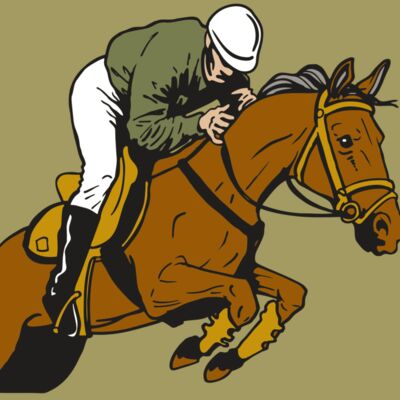 AR EQUEST 18 RC Thumbnail