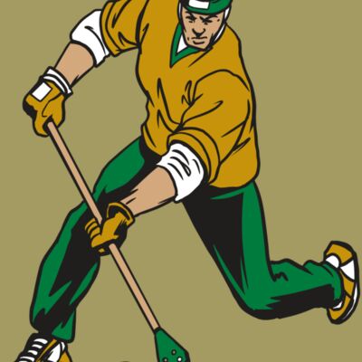 AR20 BROOMBALL 12 RQC Thumbnail