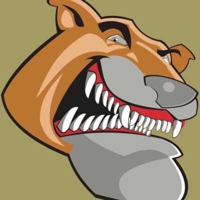 COUGAR HD0504 RQC Thumbnail