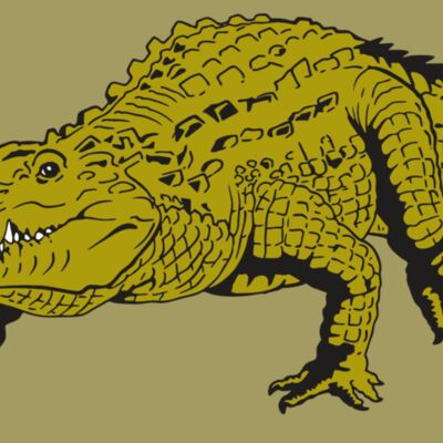 AR GATOR 13 RQC Thumbnail