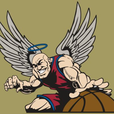 AR17 ANGEL BSKT 04 RQC Thumbnail