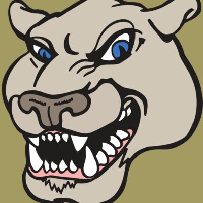 AR5 COUGAR 10 RQC Thumbnail