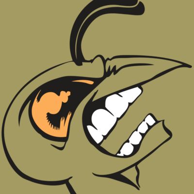 BAW BEE 19 RC Thumbnail