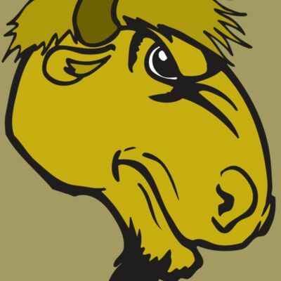 AR BUFFALO 14 RC Thumbnail