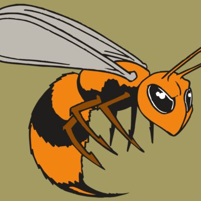 AR BEE 34 RC Thumbnail