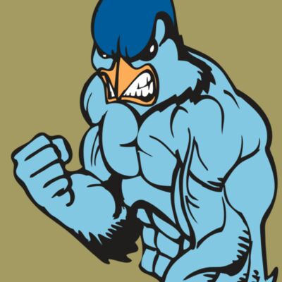 BAW BLUEJAY 13 RC Thumbnail