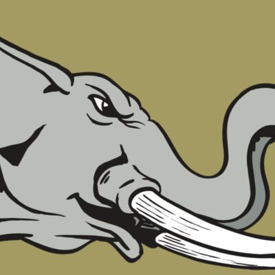 AR ELEPH 16 RC Thumbnail