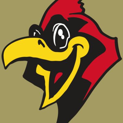 AR CARDINAL 36 RC Thumbnail