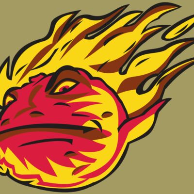 COMET HD0501 RQC Thumbnail