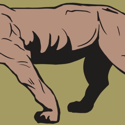 AR10 PANTHER 04 RQC Thumbnail