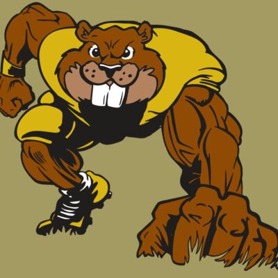 AR14 BEAVER FBLL 03 RQC Thumbnail