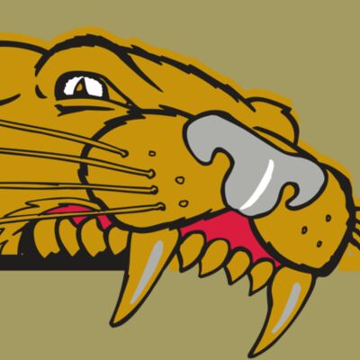 AR COUGAR 73 RC Thumbnail