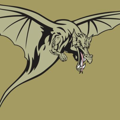 BAW DRAGON 12 RC Thumbnail