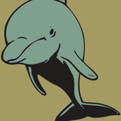 AR DOLPIN 11 RC Thumbnail