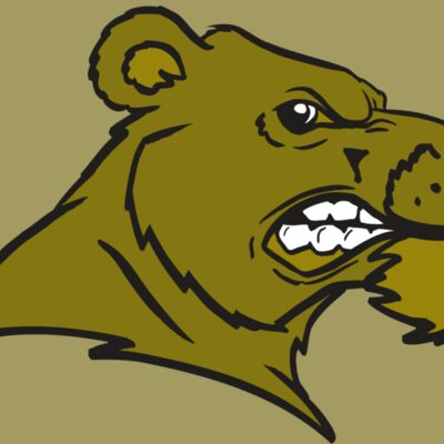 AR BEAR 11 RC Thumbnail