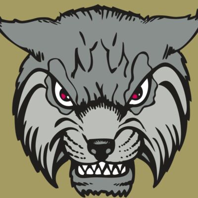 BAW BOBCAT 02 RC Thumbnail