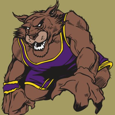 AR WILDCAT 23 RC Thumbnail