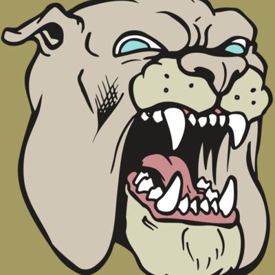 AR BDOG 42 RC Thumbnail