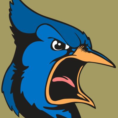 BAW BLUEJAY 03 RC Thumbnail