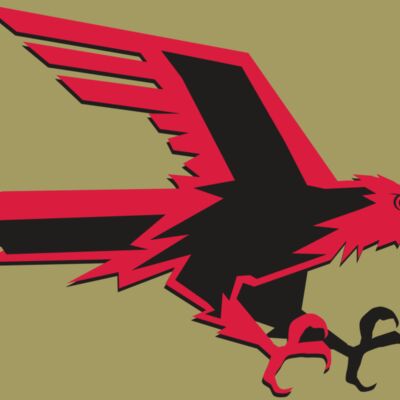 AR9 FALCON 02 RQC Thumbnail