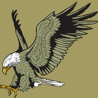 AR10 EAGLE 03 RQC Thumbnail