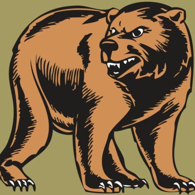 BAW BEAR 09 RC Thumbnail