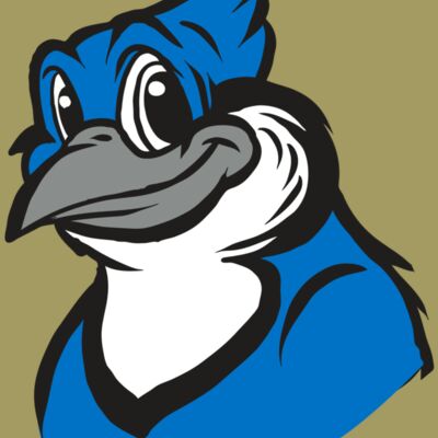 AR31 BLUEJAY 02 RQC Thumbnail