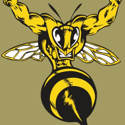 BAW BEE 04 RC Thumbnail