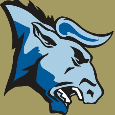 AR BULL 20 RC Thumbnail