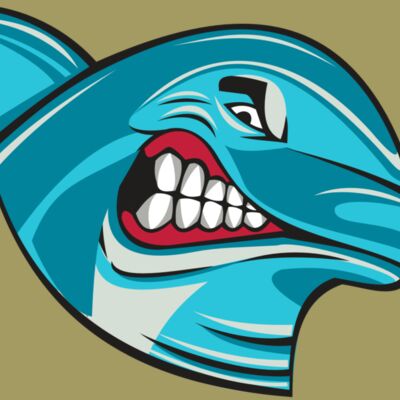 DOLPHIN HD0504 RQC Thumbnail