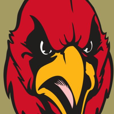 BAW CARDINAL 11 RC Thumbnail