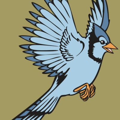 BAW BLUEJAY 12 RC Thumbnail