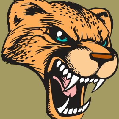 BAW CHEETAH 19 RC Thumbnail