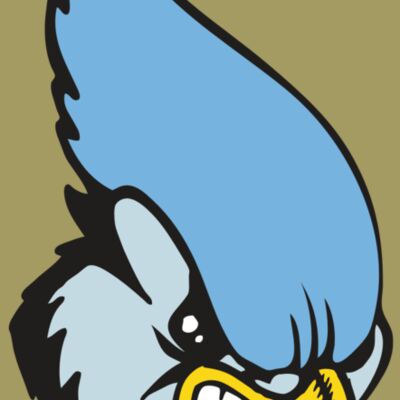 BAW BLUEJAY 05 RC Thumbnail