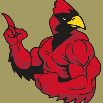 AR CARDINAL 28 RC Thumbnail