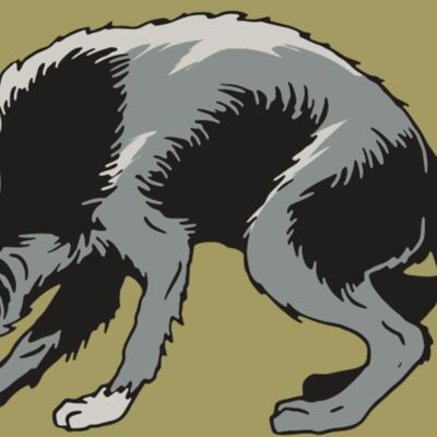 AR32 COYOTE 05 RQC Thumbnail