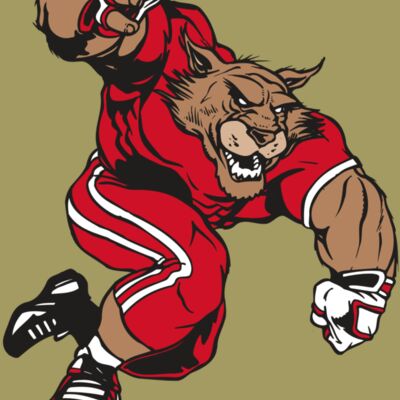 AR WILDCAT 32 RC Thumbnail