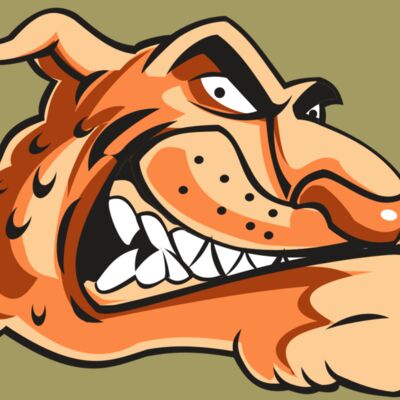 CHEETAH HD0503 RQC Thumbnail