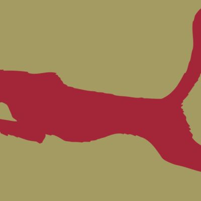 AR CHEETAH 11 RC Thumbnail