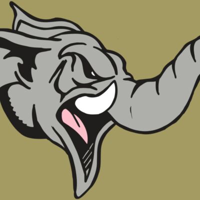 AR5 Elephant 03 RQC Thumbnail