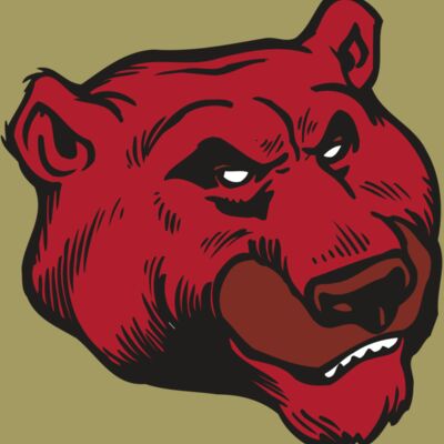 AR BEAR 10 RC Thumbnail