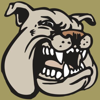 AR BDOG 38 RC Thumbnail