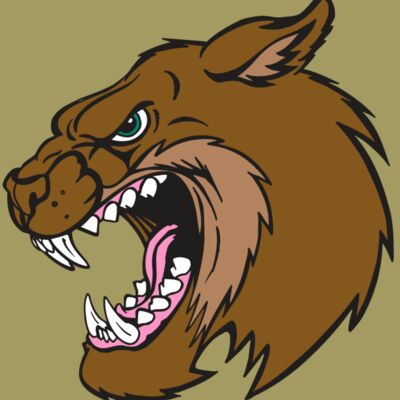 AR5 BOBCAT 18 RQC Thumbnail