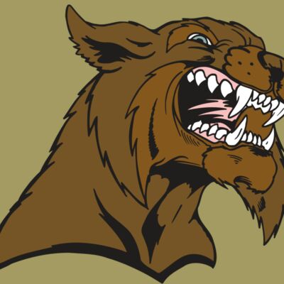 AR5 BOBCAT 21 RQC Thumbnail