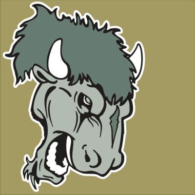 AR BUFFALO 19 RC Thumbnail