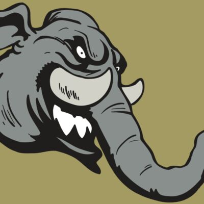 AR5 Elephant 06 RQC Thumbnail