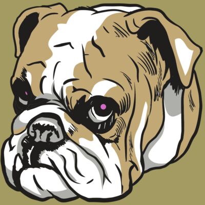 AR10 BDOG 01 C Thumbnail