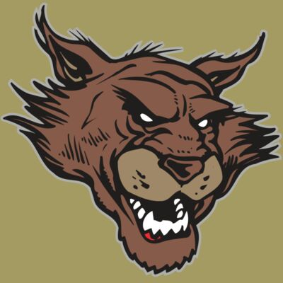 AR WILDCAT 11 RC Thumbnail