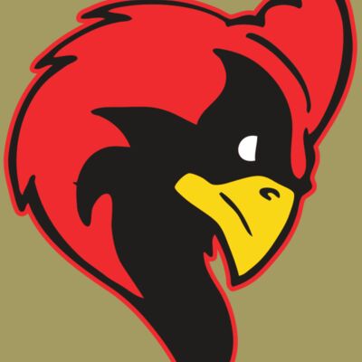 AR CARDINAL 24 RC Thumbnail